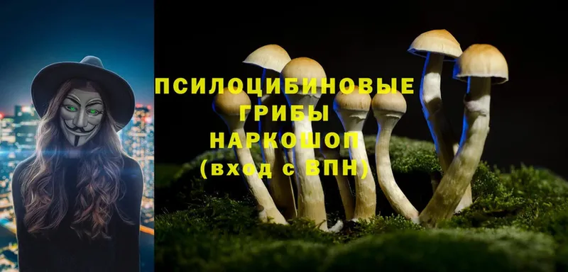 Галлюциногенные грибы MAGIC MUSHROOMS  Пошехонье 